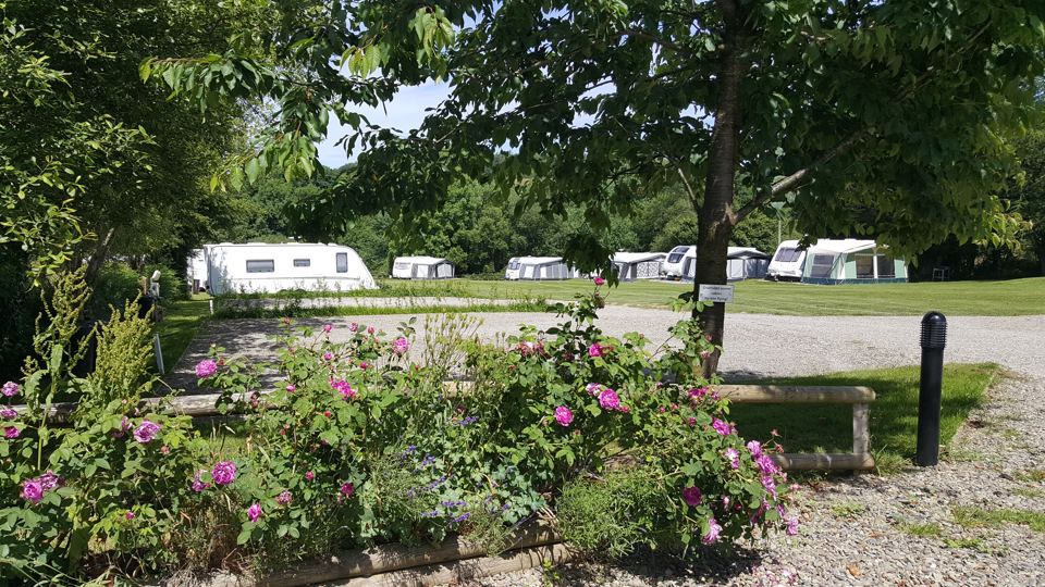 Gravel touring pitches and flowers