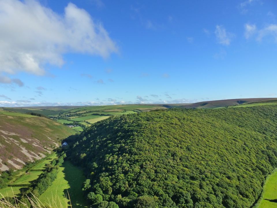 View down the wooded valley