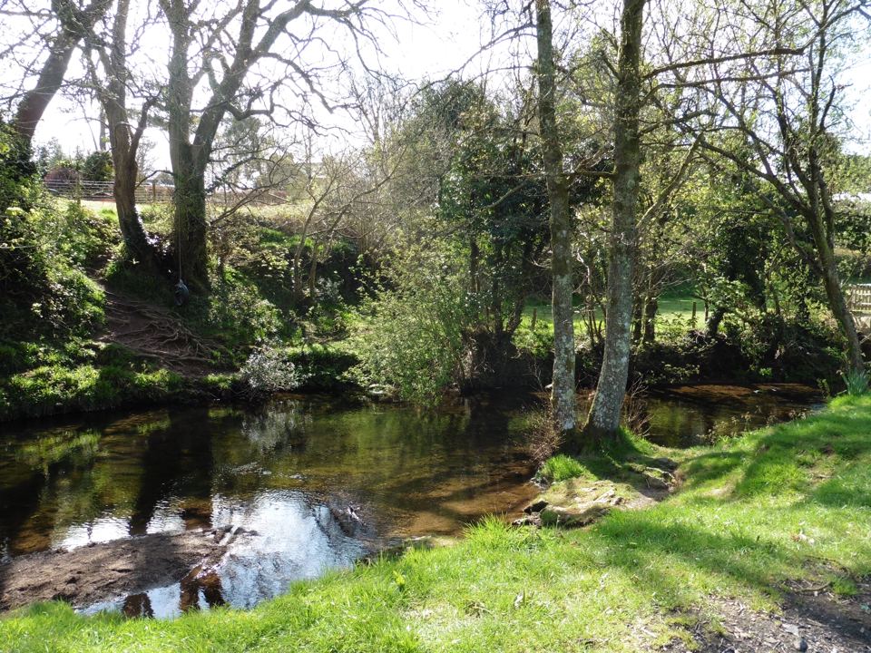 Stream through the trees