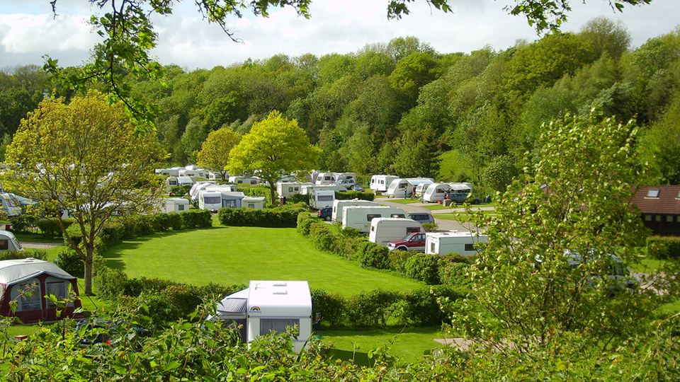 Caravans on the grass pitches under trees