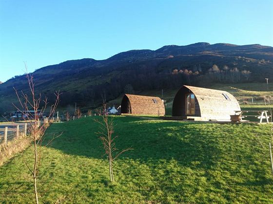 Cabins on the hillside