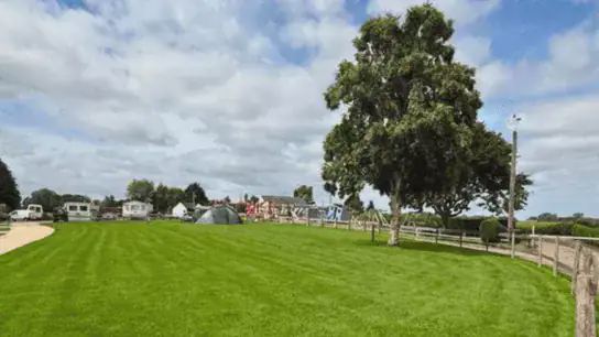 Camping field with tent