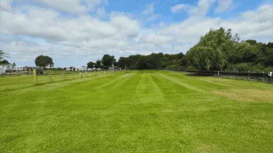Mown grass pitches