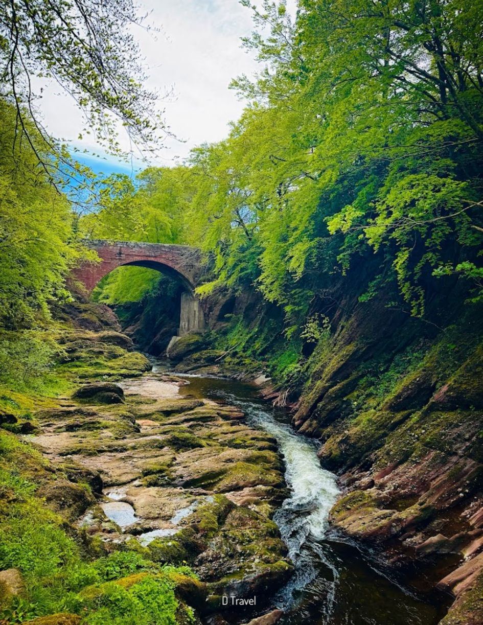 River gorge near the site