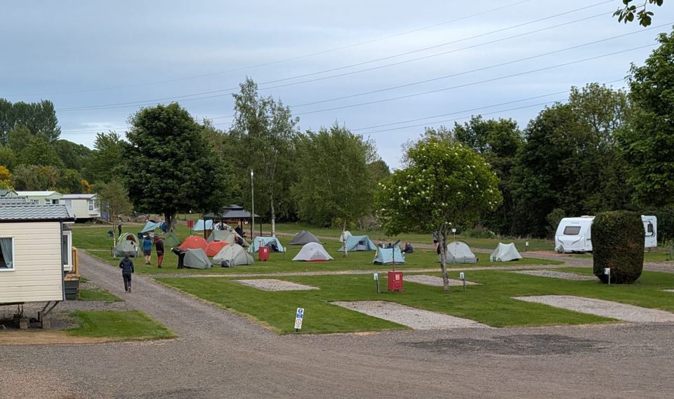 Tent field with marked pitches