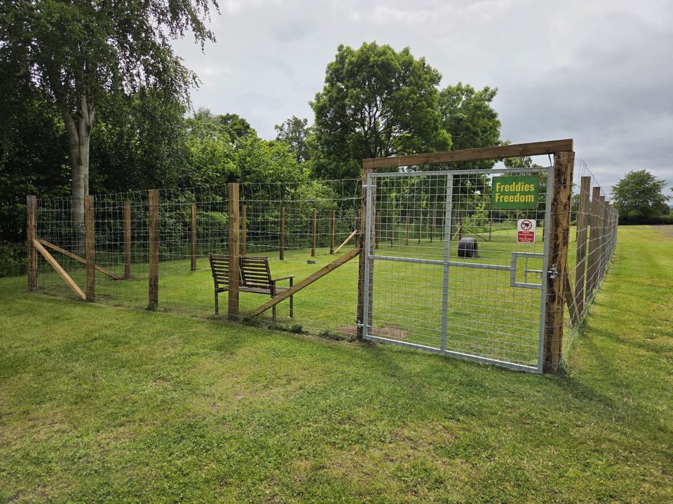 Enclosed dog run