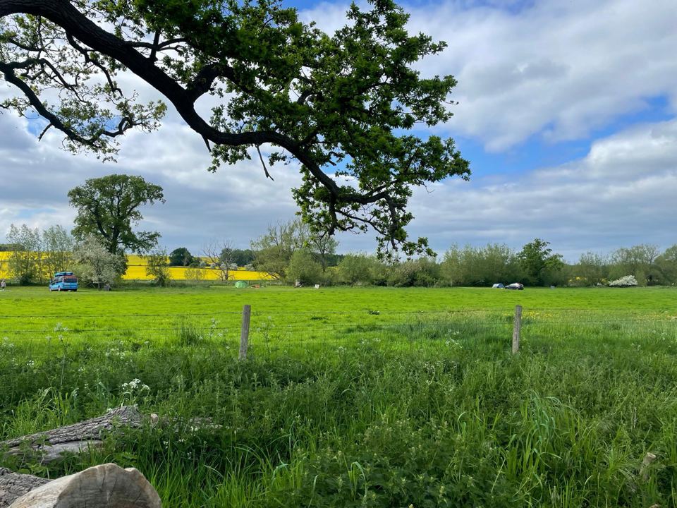 Open meadow pitch area