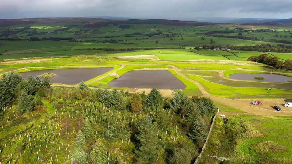 Lakes and fields from above