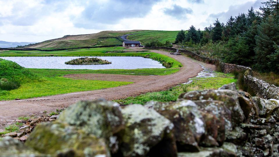 Lake beside the track