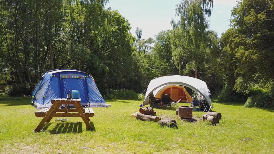 Tents in a woodland clearing