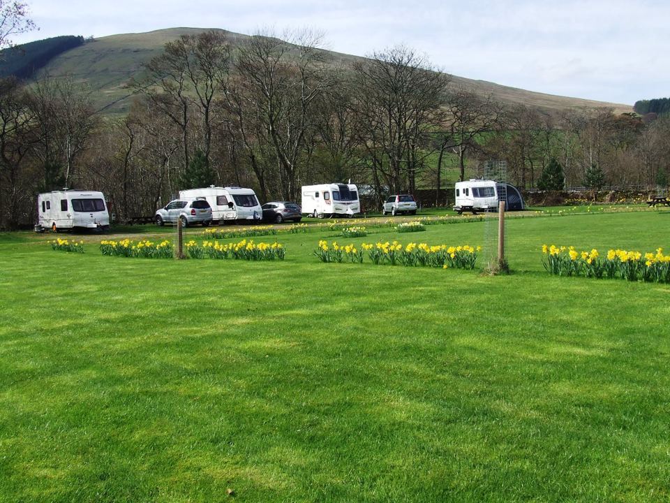 Caravans on the grass