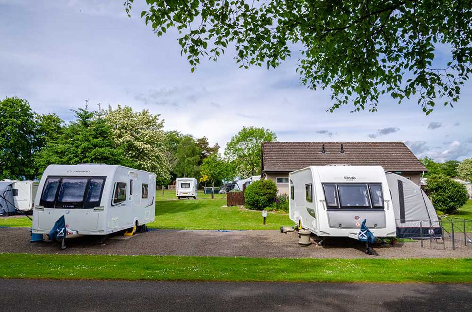 Touring caravans among trees