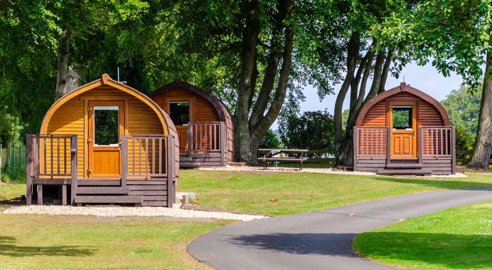 Glamping pods under the trees