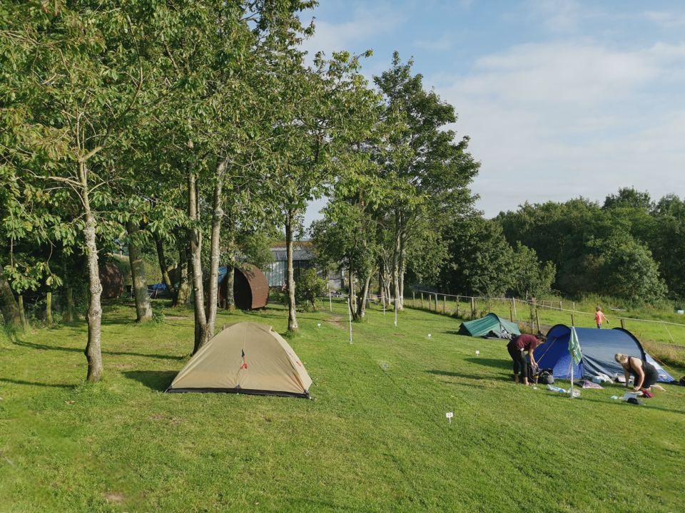 Tents among the trees
