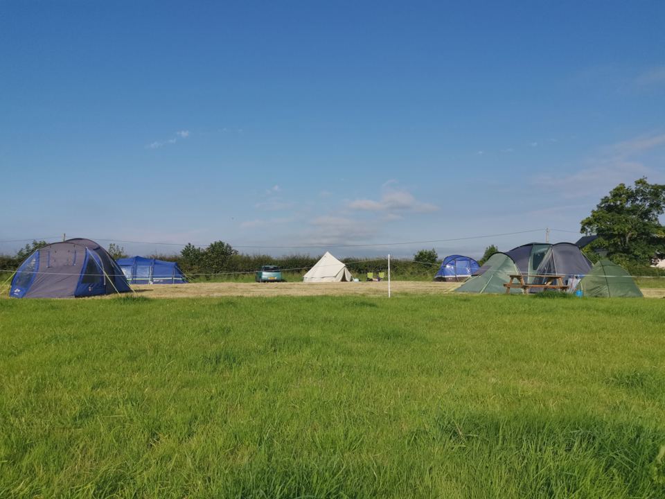 Tents across the lawn