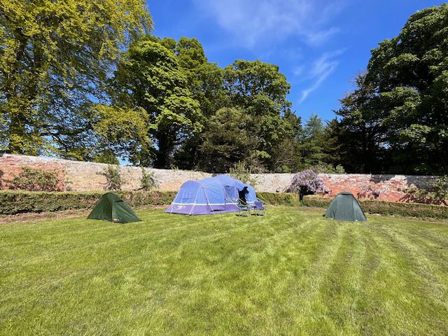 Tents in the walled garden