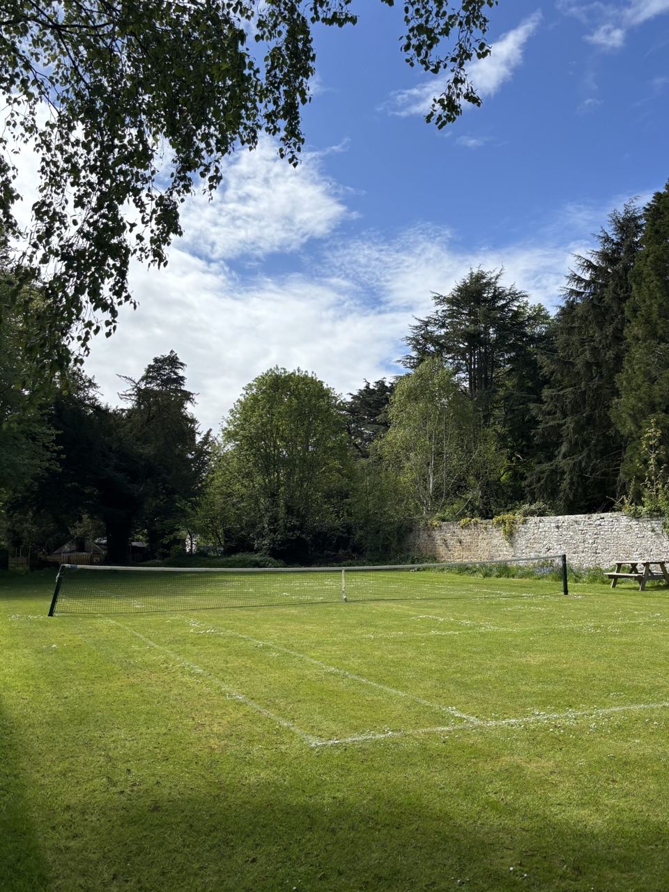 Grass tennis court in the trees