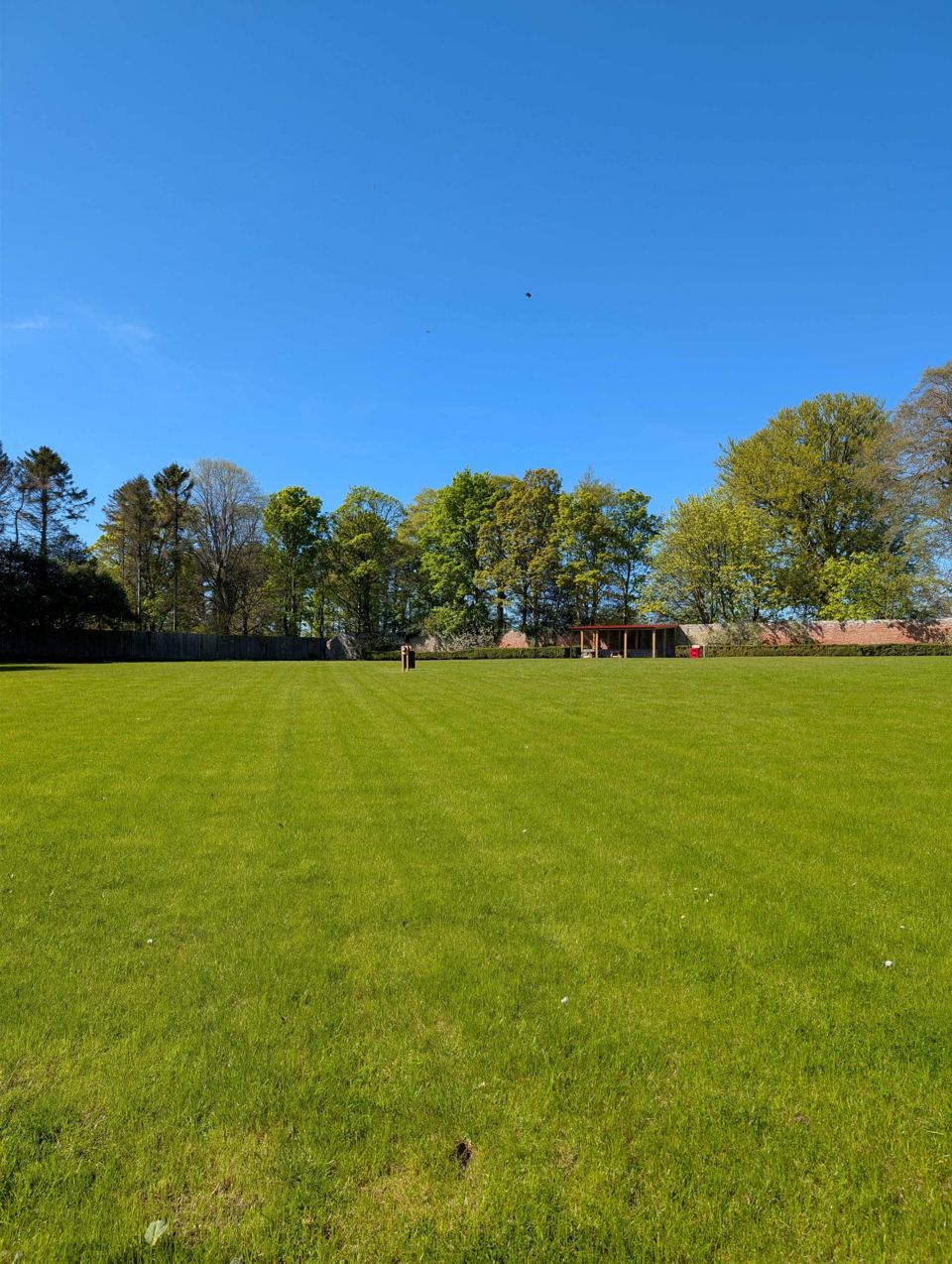 Level grass area