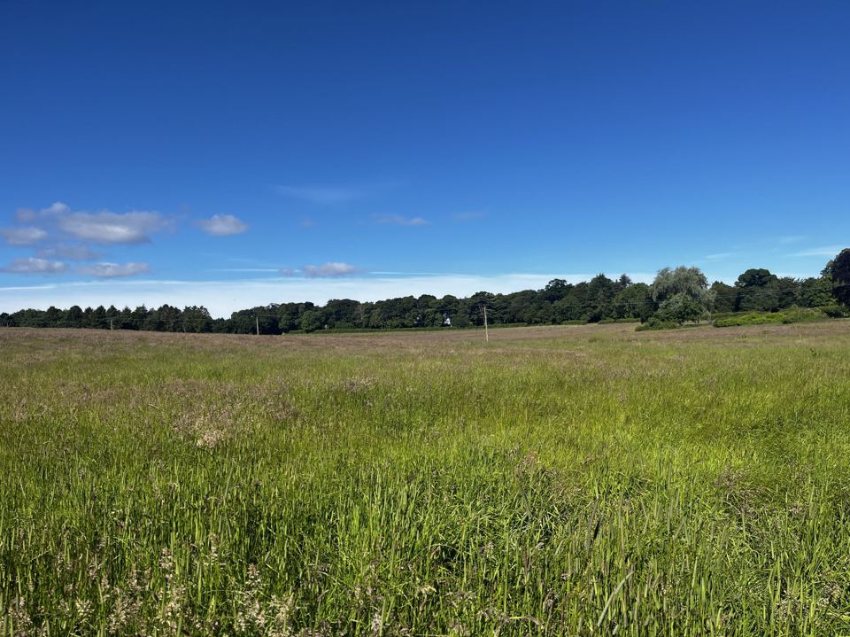 Open grass field