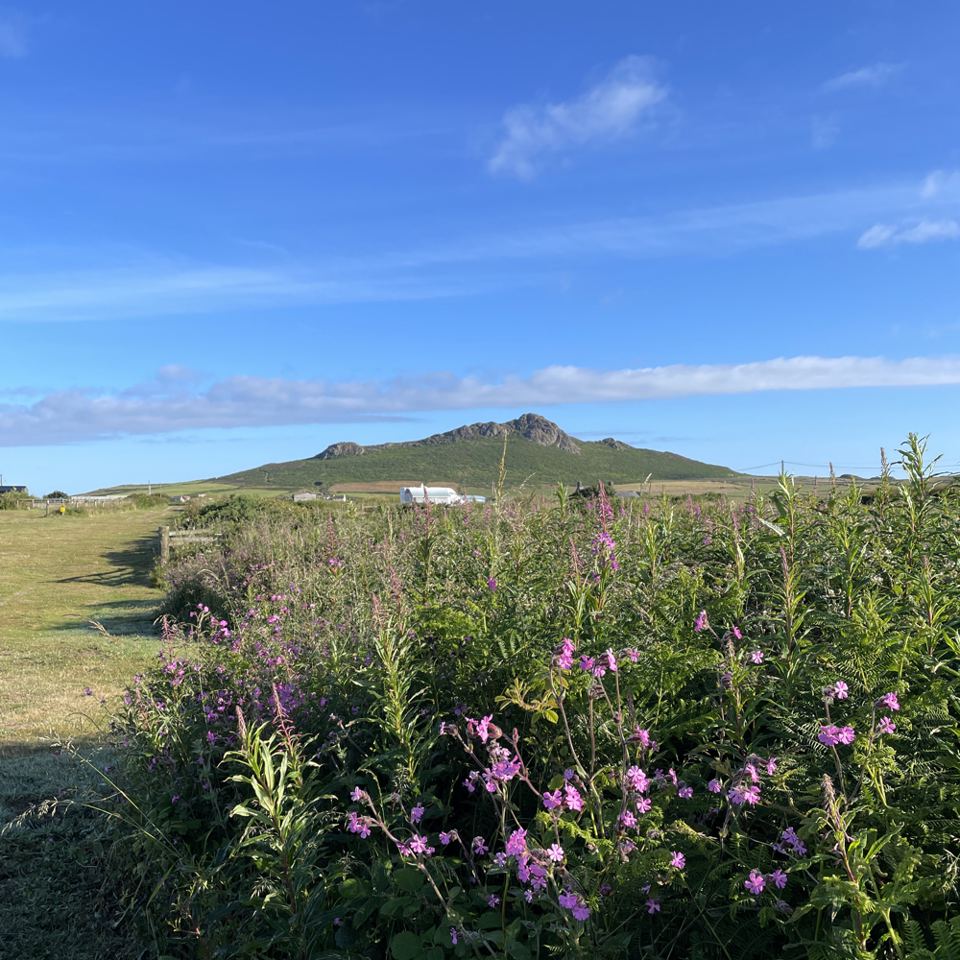 Carn Llidi from the site