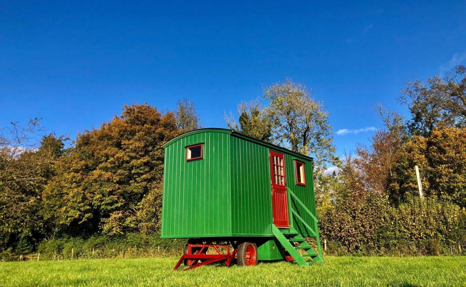 The Wagon on the grass
