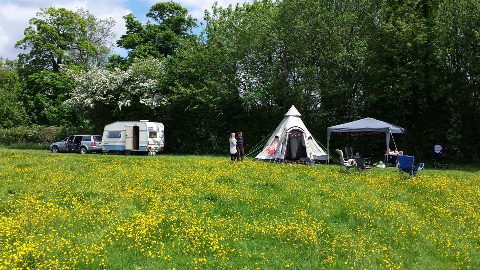 Tent and caravan in the field