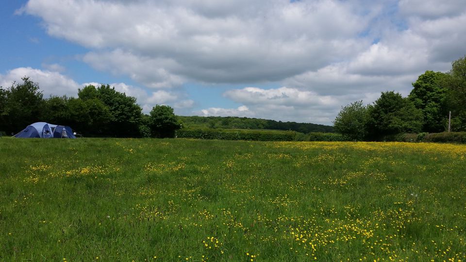Camping field with a tent