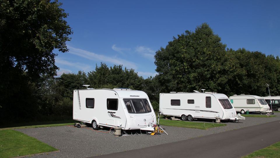 Hardstanding pitches among trees