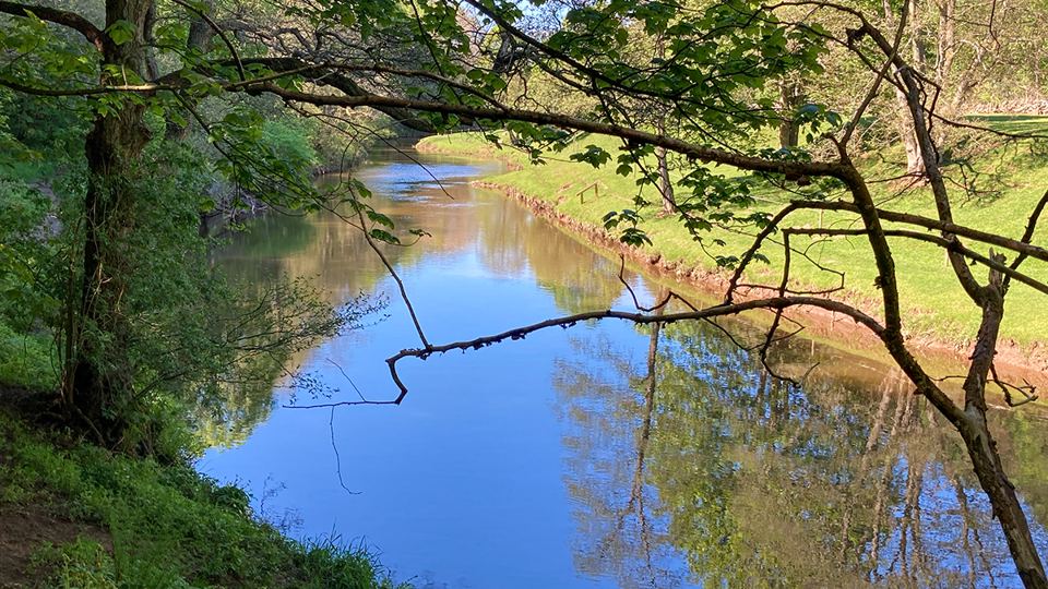 River bend near the site