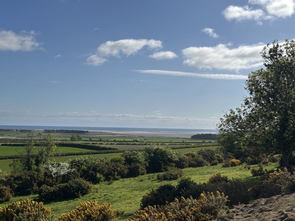 View over the coastal plain