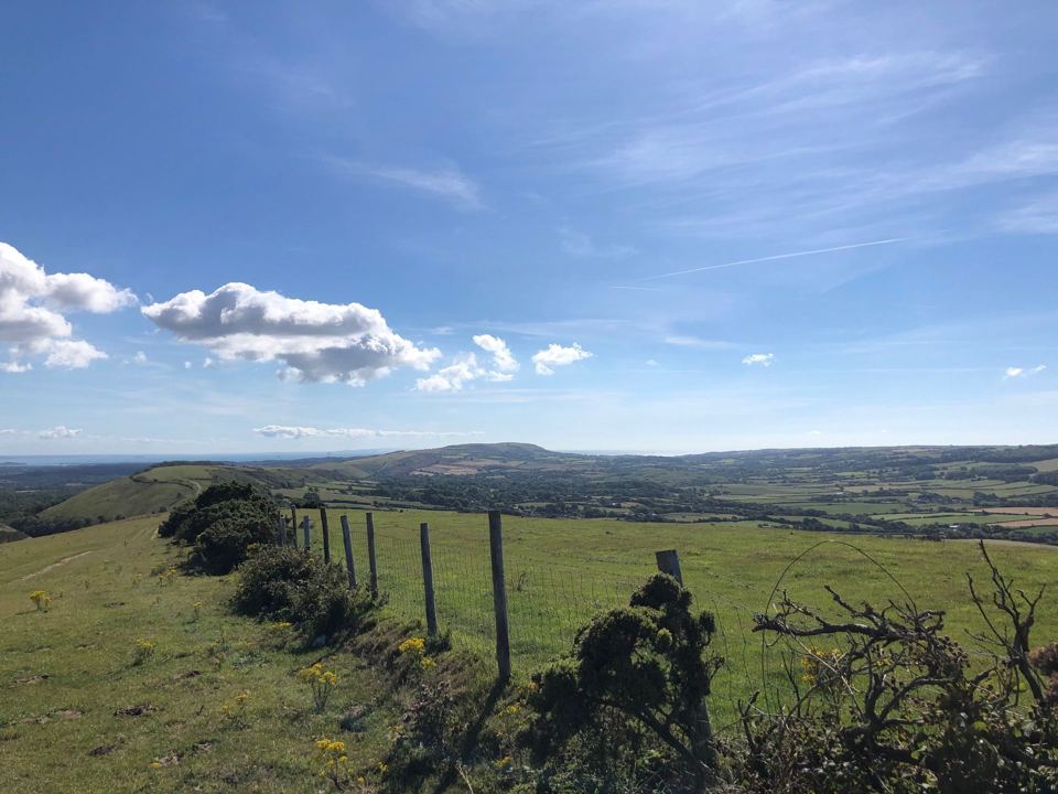 Purbeck Hills view