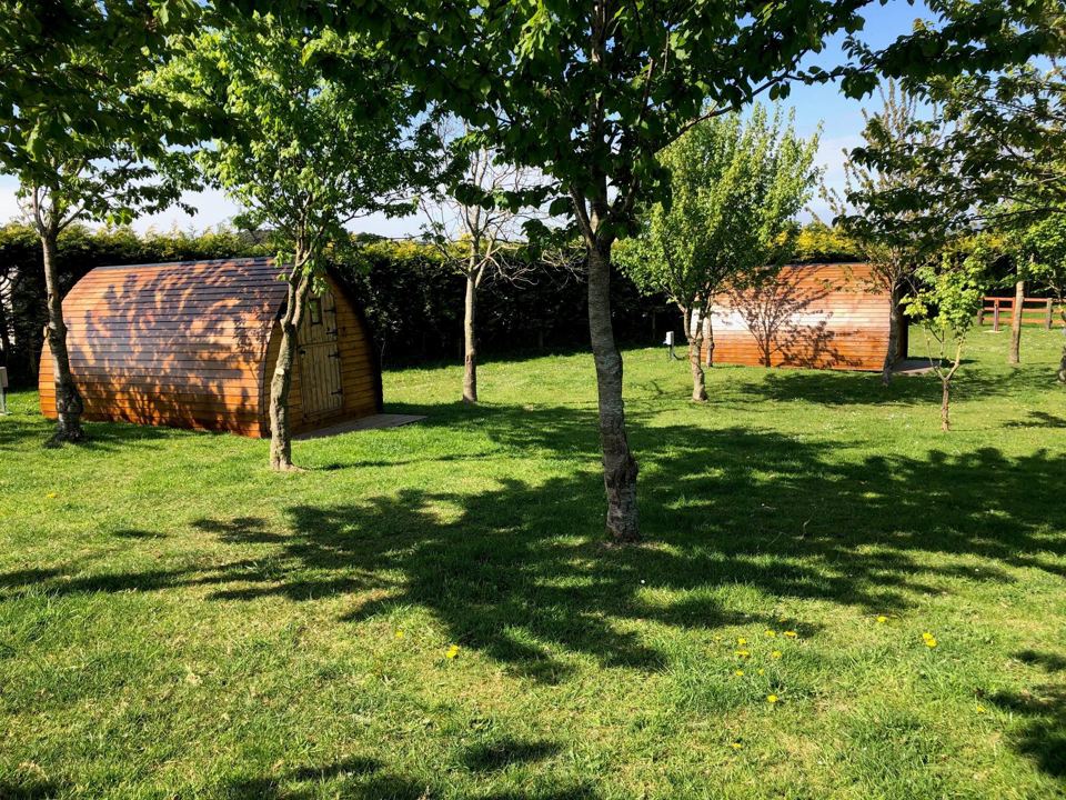 Pods in the orchard