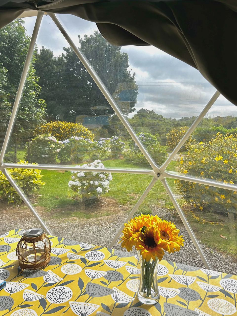 View from the geodome table