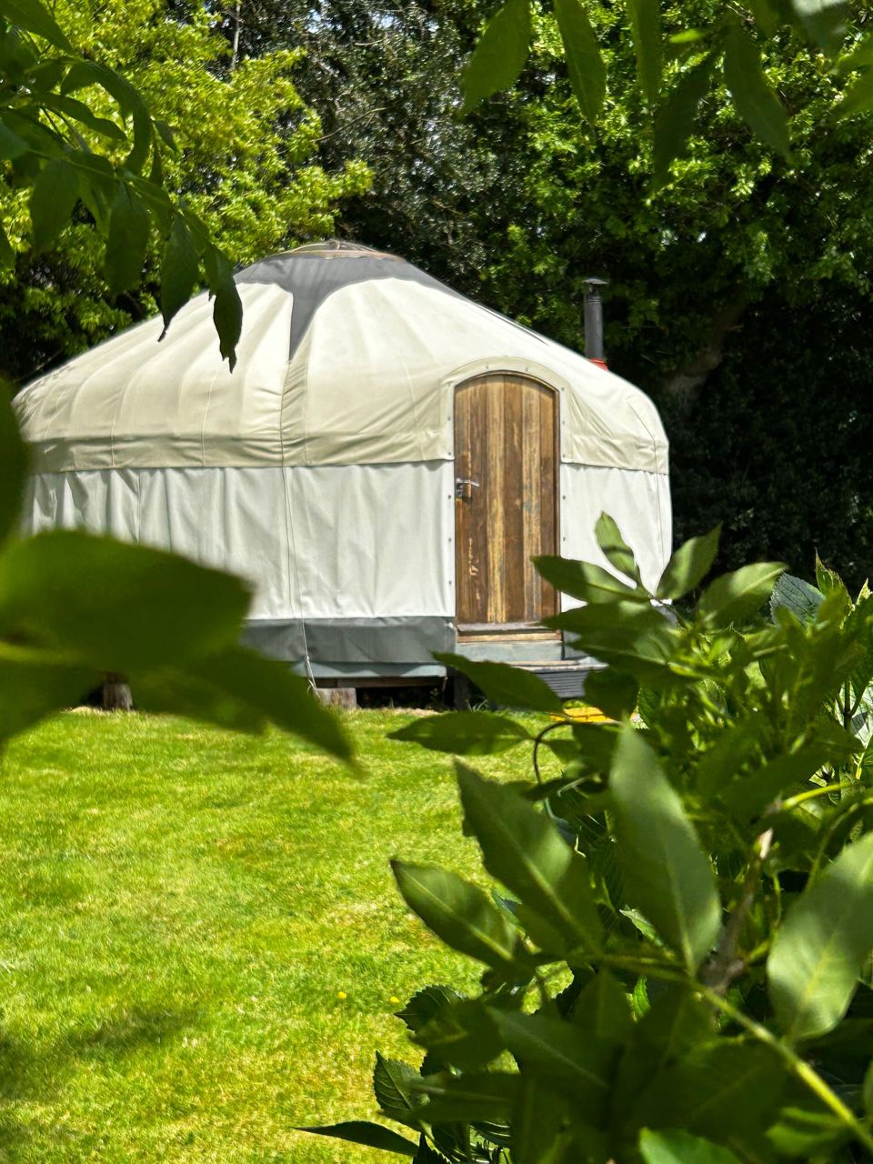 Yurt on the lawn