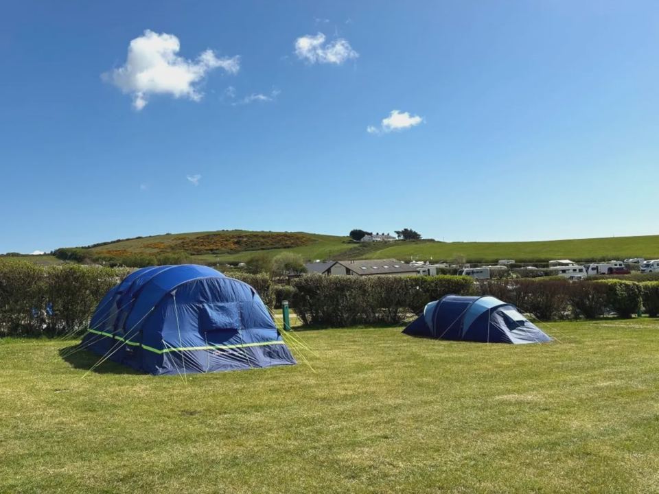 Tents on grass