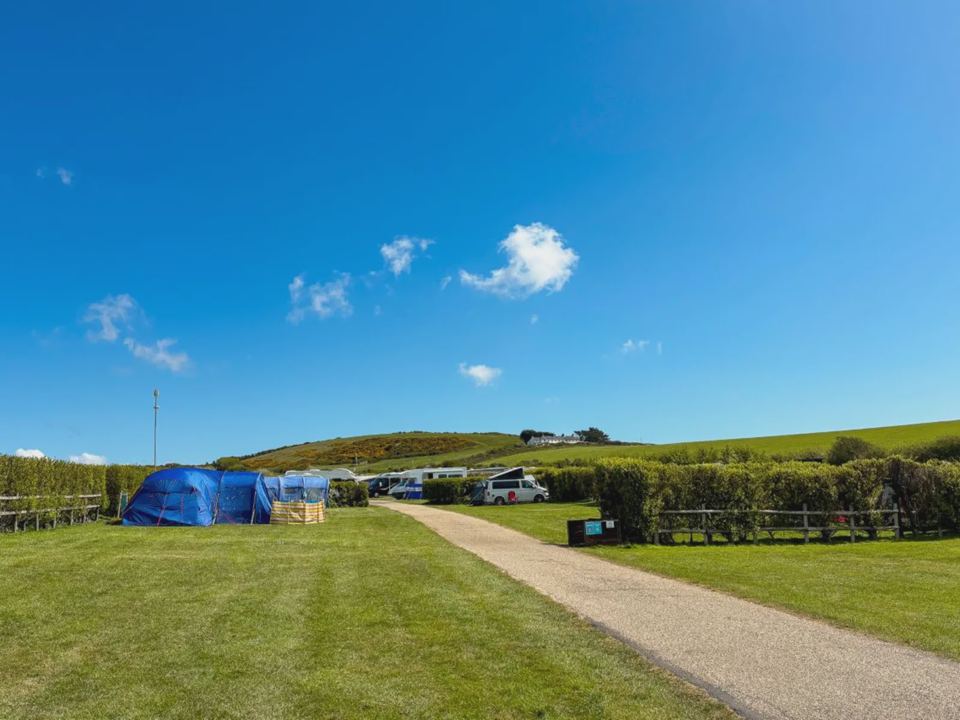 Tent field with hedge