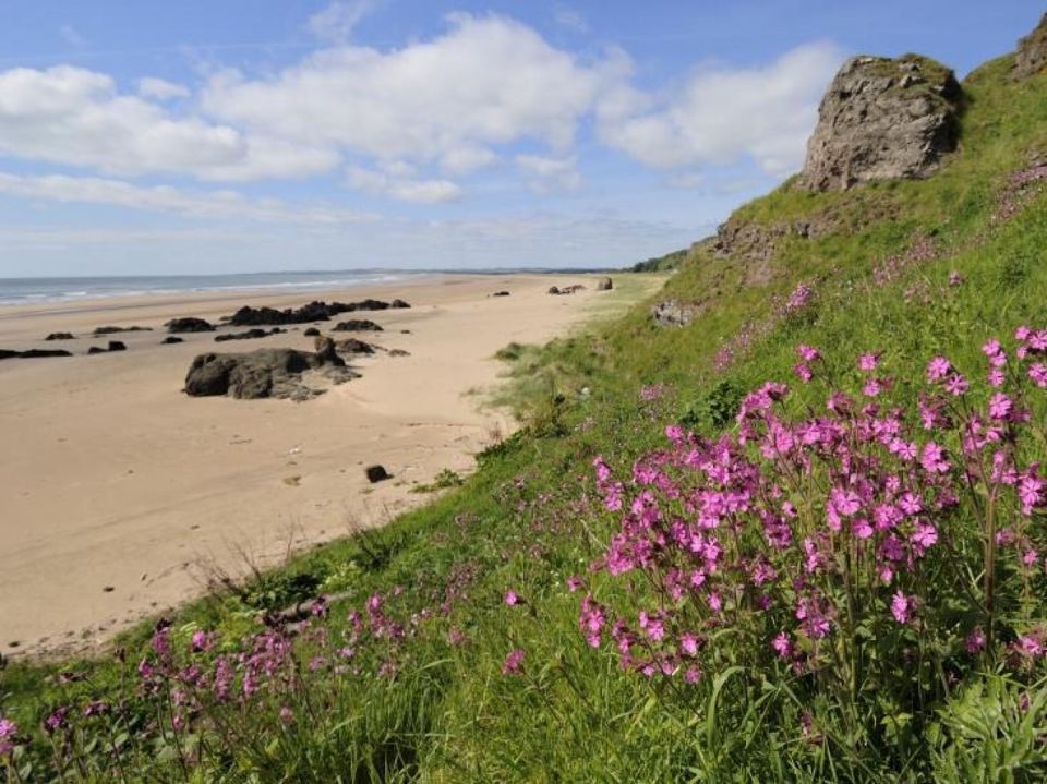 Beach and dunes nearby