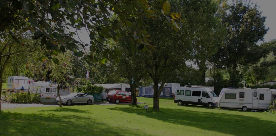 Tourers on grass under trees