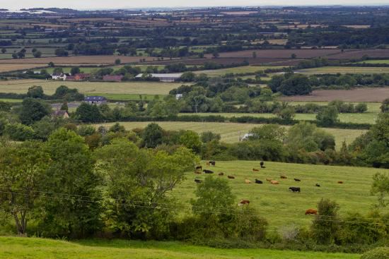 View across Warwickshire farmland