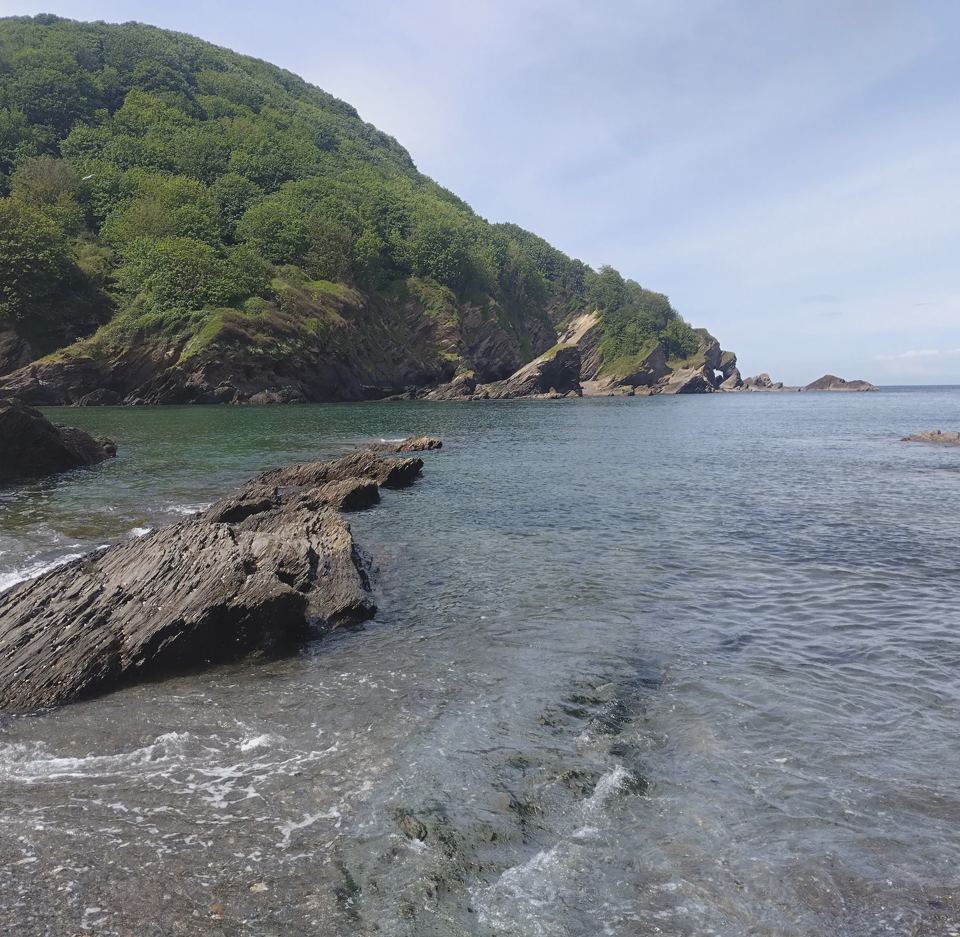 Cove with wooded headland