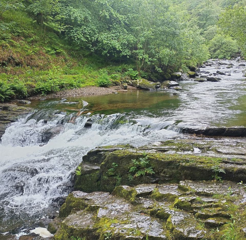 River cascade through woodland