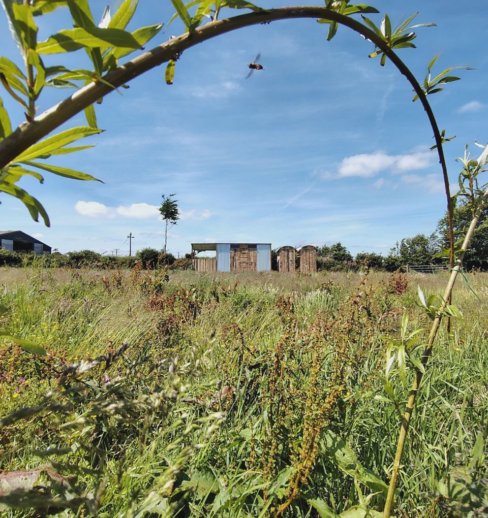 Field with distant huts