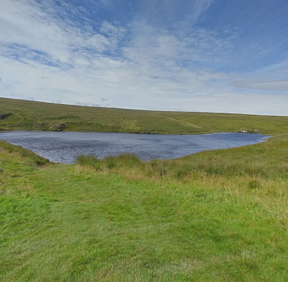 Small lake in grassy moorland
