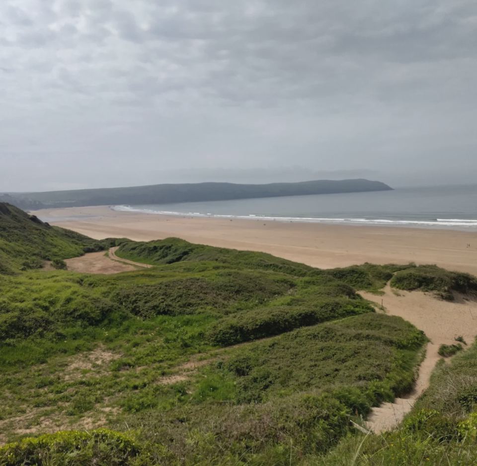Beach and dunes