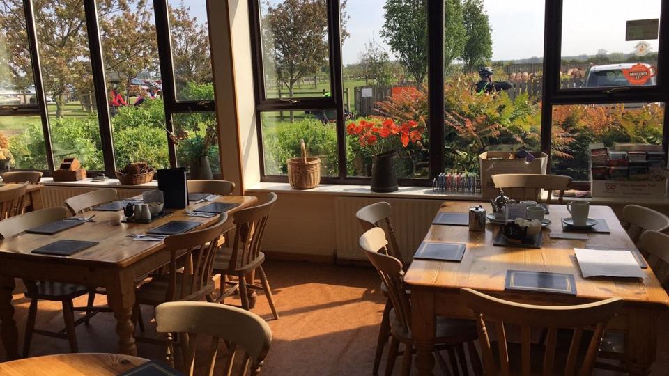 Lakeside cafe dining room