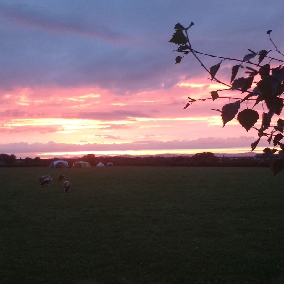 Evening over the camping field