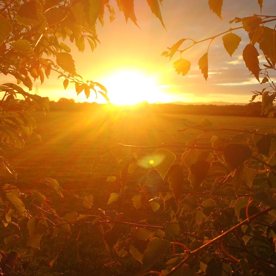 Sunset over the farm