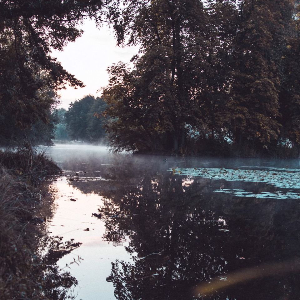 Quiet river backwater