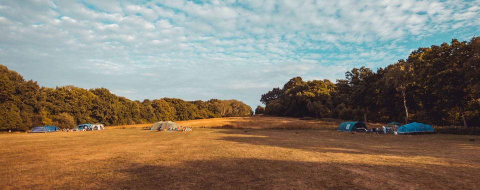 Camping field edged by woodland