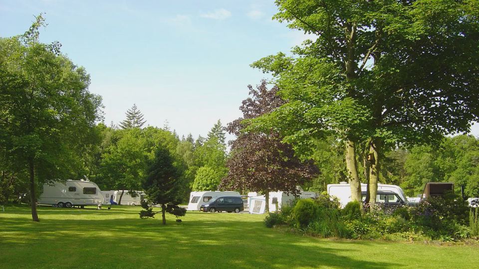 Caravans and motorhomes under the trees